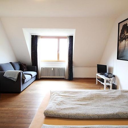 Zentrale Stadtwohnung - Direkt Am Main, Park-Ausblick Wurzburg Luaran gambar