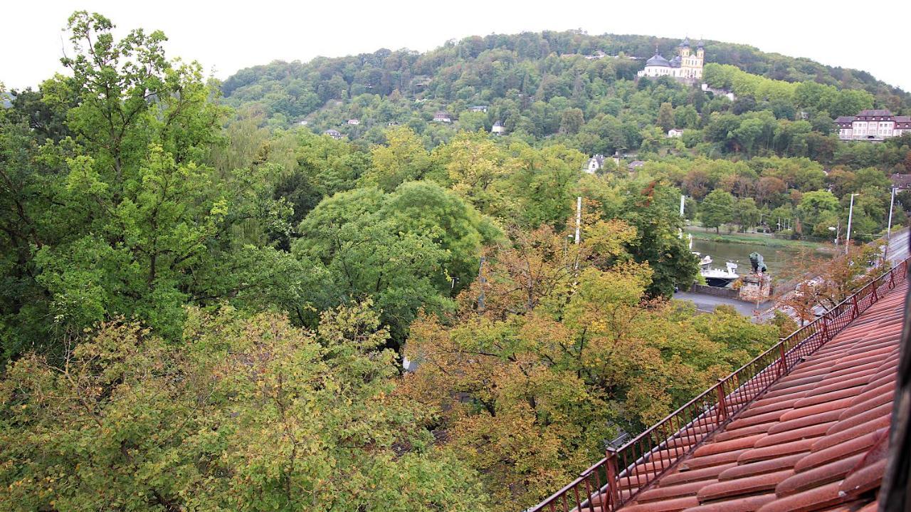 Zentrale Stadtwohnung - Direkt Am Main, Park-Ausblick Wurzburg Luaran gambar